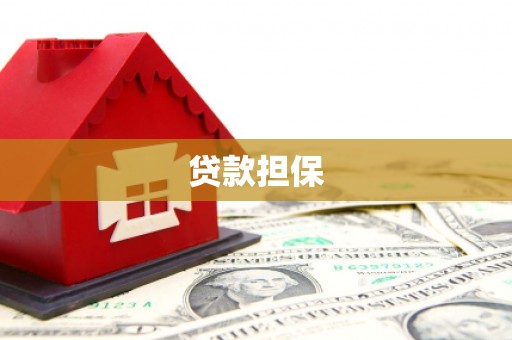 洋县贷款担保